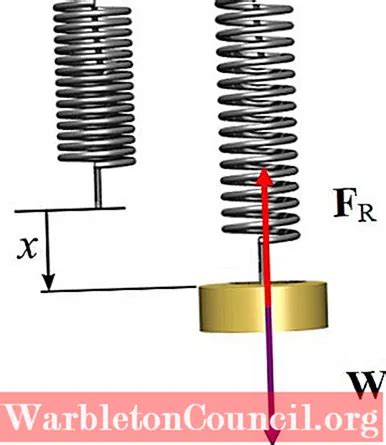 LOI DE HOOKE FORMULES EXEMPLES APPLICATIONS EXERCICES SCIENCE