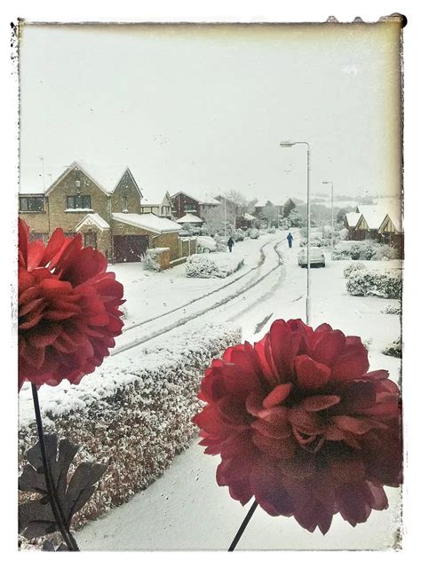 Greater Manchester snow: More of your pictures - Manchester Evening News