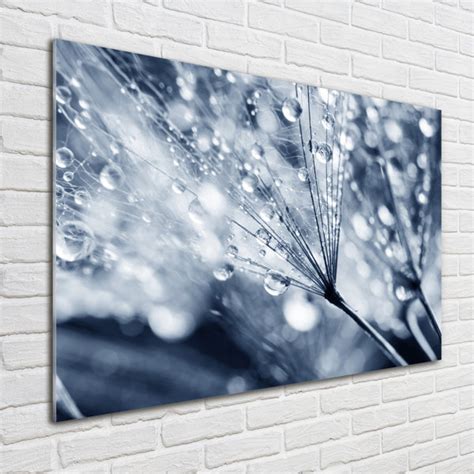 Ebern Designs Dandelion Seeds Unframed Art Prints On Glass Wayfair