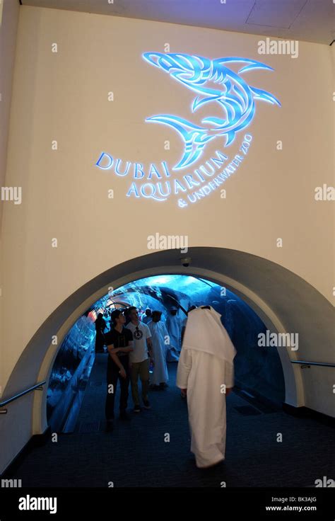 Dubai Aquarium And Underwater Zoo Saltwater Aquarium In Dubai Mall