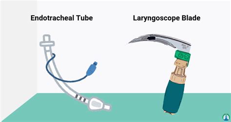 Endotracheal Intubation Procedure