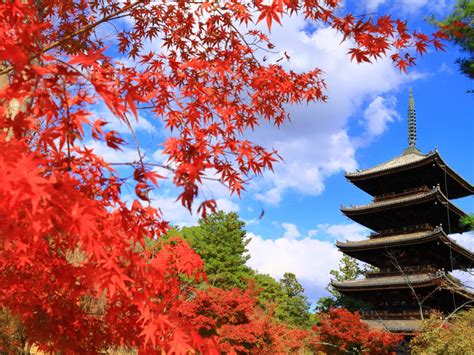 貸切観光タクシー 金閣寺・龍安寺・仁和寺を周る世界遺産巡りコース＜4時間／大津市内発／京都市内着／京都市内発オプションあり／1～9名＞by