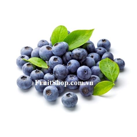 Việt Quất Xanh Mỹ Blueberry Usa