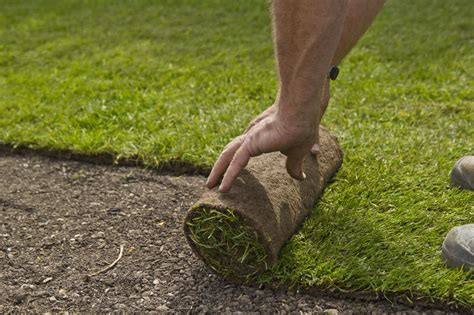 How To Install Sod Properly 101 Guide Sodding Canada