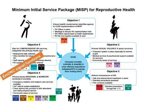 Unit 1 Course Overview Basic Emergency Obstetric And