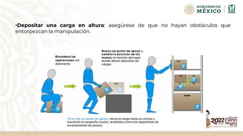 Nom Stps Manipulacion Manual De Cargas Pdf