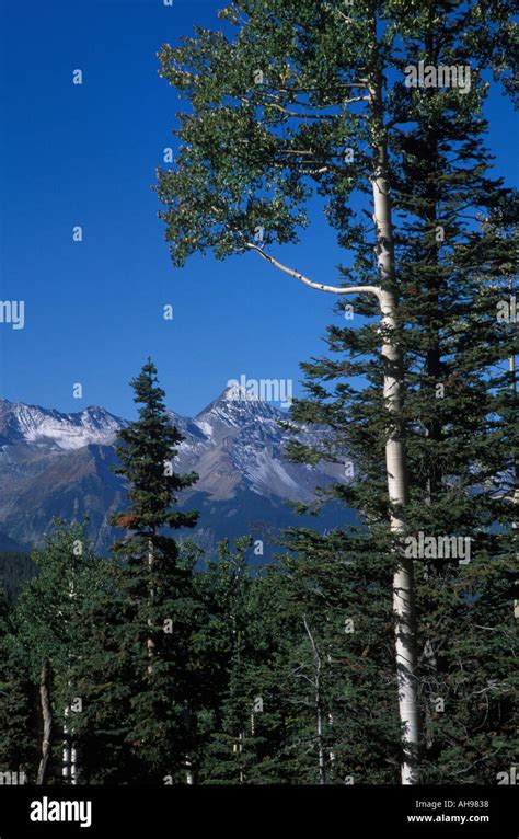 Mt Wilson From Telluride Colorado Stock Photo Alamy