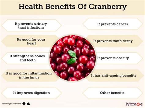 Cranberry Benefits And Its Side Effects Lybrate