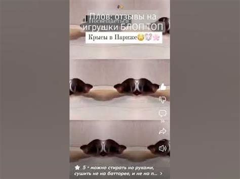 Плов: отзывы на игрушки БЛОП ТОП #БЛОПТОП 🗿👍 - YouTube