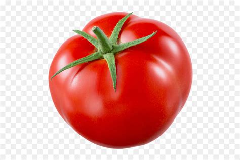 Ameixa Tomate Bush Tomate Tomate Png Transparente Gr Tis