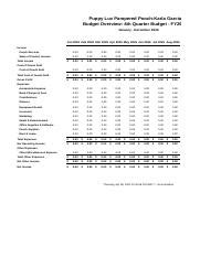 Ch Budget Overview Xlsx Puppy Luv Pampered Pooch Karla Garcia