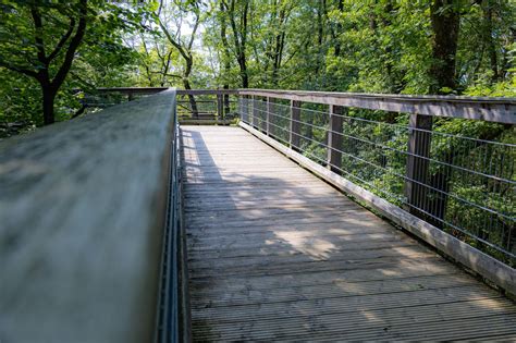 In Den B Umen Unterwegs Baumwipfelpfad Panarbora Waldbr L