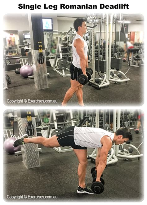 Single Leg Romanian Deadlifts