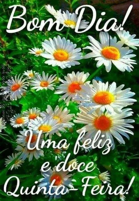 Feliz Quinta Feira Flores ImagensBomDia Net