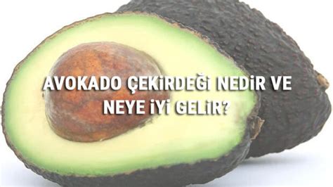 Avokado Ekirde I Nedir Ve Neye Yi Gelir Avokado Ekirde I Faydalar