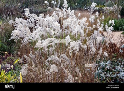 Ferner Osten Winter Hi Res Stock Photography And Images Alamy