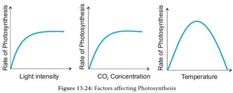 Factors affecting ­Photosynthesis