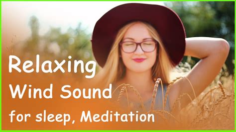 Wind Sounds For Sleeping Wind Blowing Relaxing Wind Sound Wind Sounds