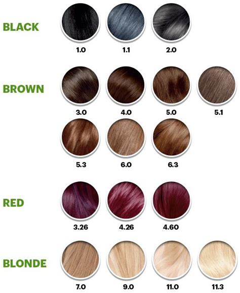 Garnier Belle Colour Chart