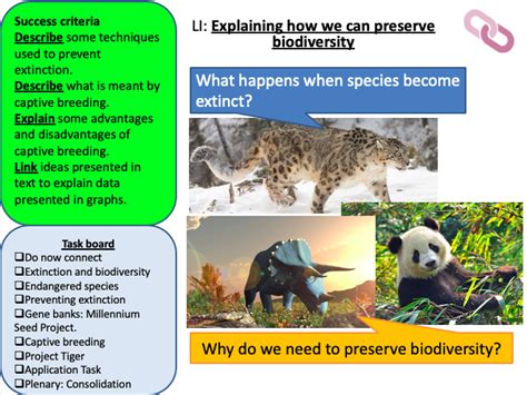 KS3 Preserving Biodiversity Evolution Teaching Resources