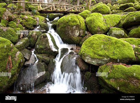 Moss Covered Rocks Waterfall Wooden Bridge Geish Ll Waterfalls Near