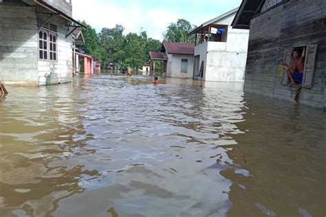 Kecamatan Di Landak Kalbar Terendam Banjir Lebih Dari Kk Mengungsi