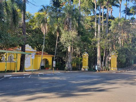 Bosque dos Jequitibás tem atividade de observação de aves CBN