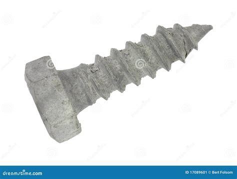Short Galvanized Steel Lag Bolt Stock Image Image Of Head Short