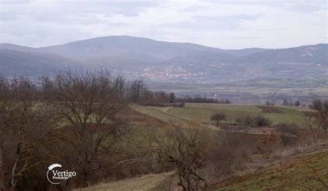 Farma Krava I Proizvodnja Mleka U Selu Resnik Kod Sokobanje Agro Saveti