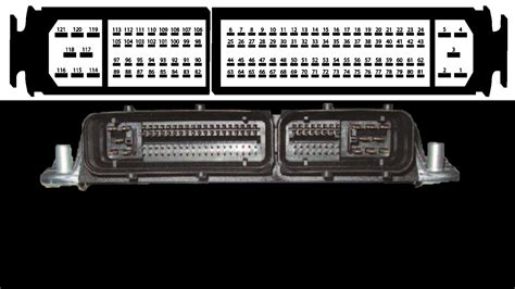 Pinouts Diagrama Pcm Ecm Bosch Motronic Terminales Vloks Wagen Vw