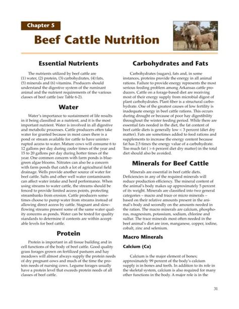 Beef Cattle Nutrition Pdf