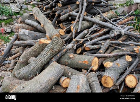 Winter Preparation Stacking Firewood Pile Of Firewood Loggs Firewood