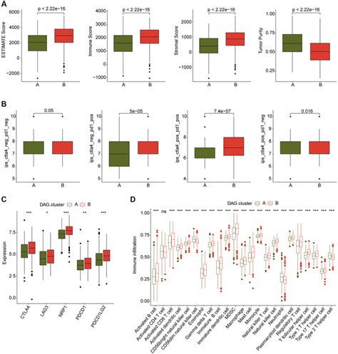 Immune Microenvironment Landscape Characteristic In Dag Based Molecular