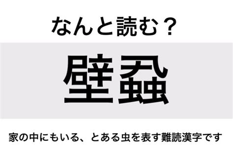 【なんと読む？】「壁蝨」の読み方は？家の中にもいる、とある虫を表す難読漢字です／難読漢字 ダ・ヴィンチweb