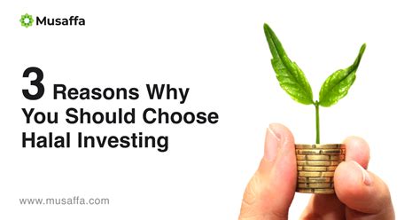 3 Reasons Why You Should Choose Halal Investing Musaffa Academy