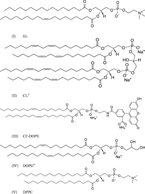 Chemical Structures Of The Lipids Download Scientific Diagram