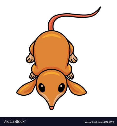 cute  bandicoot cartoon character royalty  vector