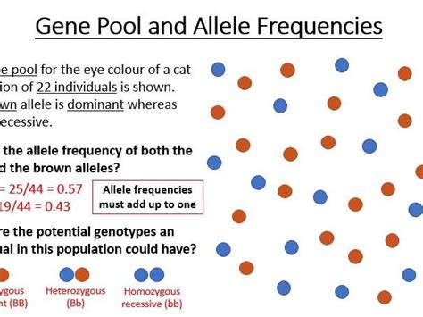 A Level Aqa Biology Populations And Evolution Bundle Teaching Resources