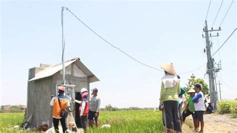 Listrik Masuk Sawah Program Electrifying Agriculture PLN Bikin Petani