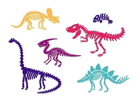 Dinosaur Skeleton Fossils Set Diplodocus Triceratops T Rex