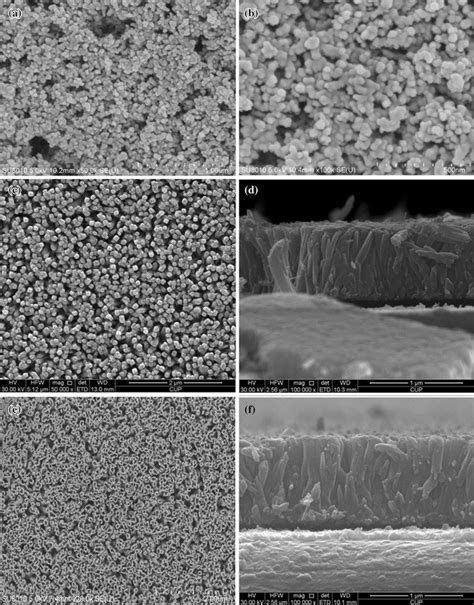 Sem Images Of The P25 Nanoparticles A B Surface And Cross Sectional