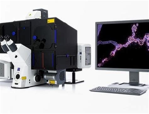 Zeiss Elyra Palmsims Superresolution Unsw Mark Wainwright Analytical Centre