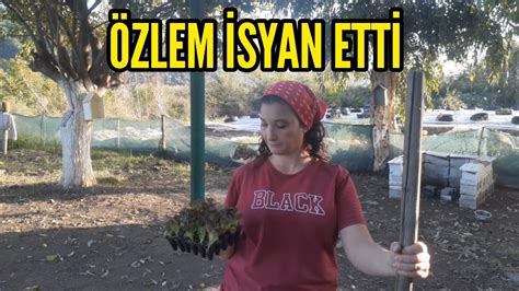 BUKADARDA OLMAZ DEDİ ŞEHİRDEN KÖYE GÖÇ ETTİK MUĞLAYA GÖÇ KÖYE GÖÇ