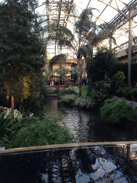 Longwood Gardens Restaurants Nearby - Beautiful Insanity