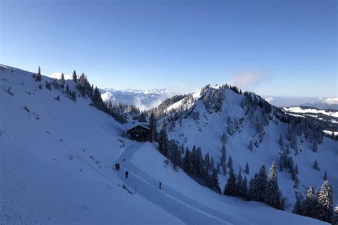 Schneeschuhwanderung Auf Den Hochgrat Im Winter