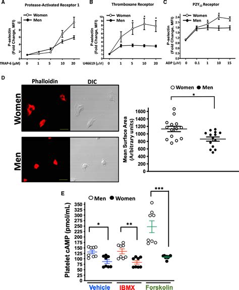 Sex Specific Platelet Activation Through Protease Activated Receptors