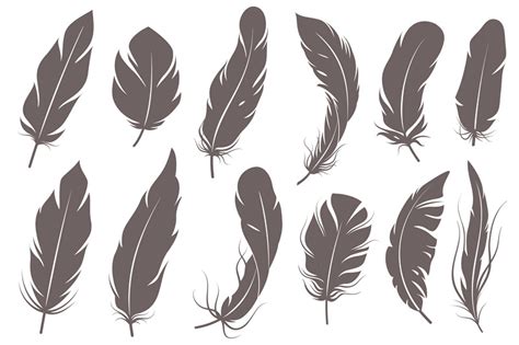 Feather silhouettes. Different feathering birds, graphic simple shapes ...