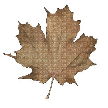 hojas otoño animadas gif dubravka4, hojas , otoño , animadas , gif ...