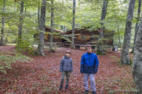 Dormire In Un Rifugio Nel Bosco Con I Bambini All Arremviaggio