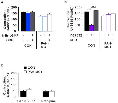 Frontiers Downregulation Of Soluble Guanylate Cyclase And Protein